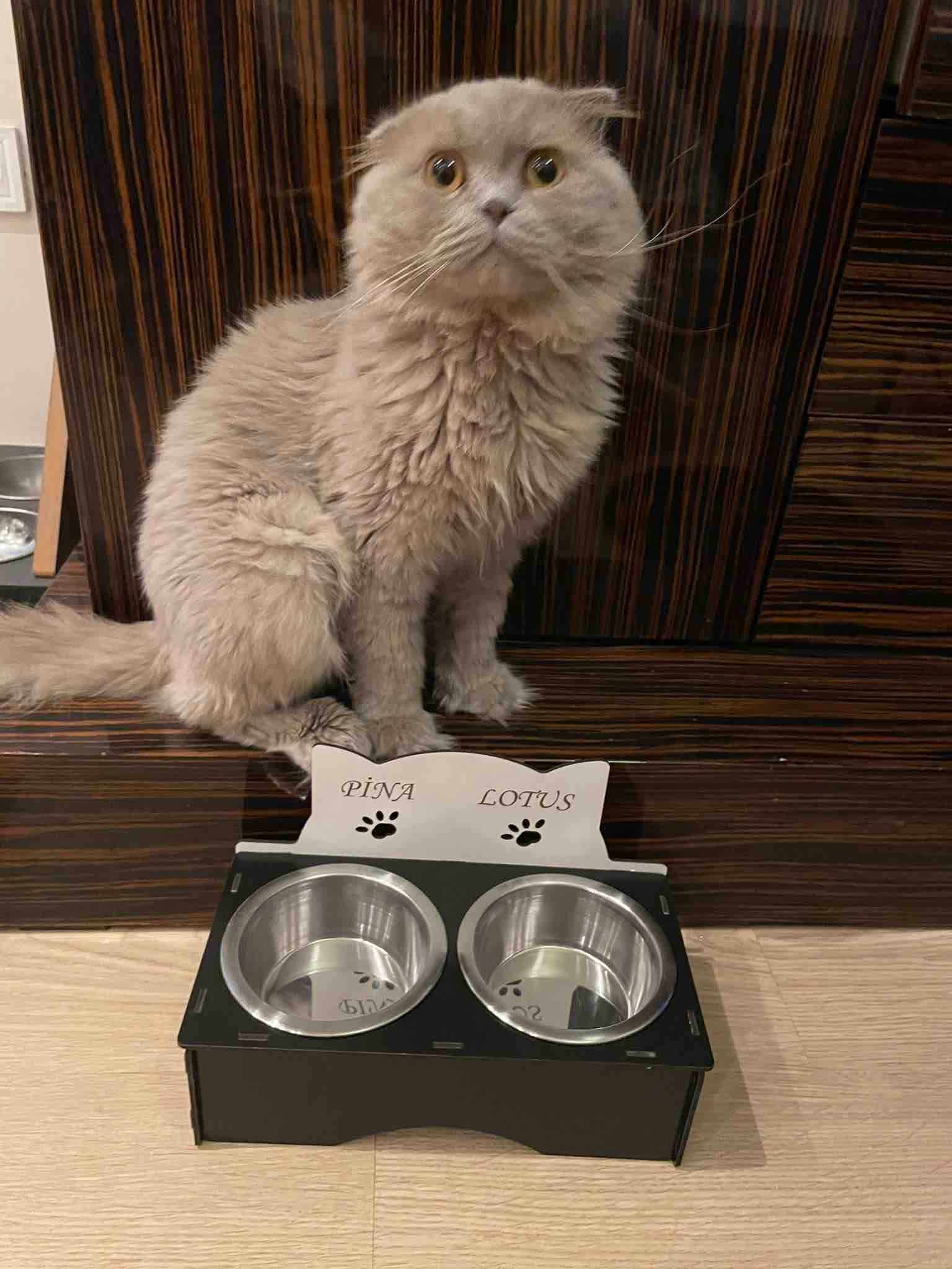 HomeJamin Ahşap Kedi Köpek Mama ve Su Kabı Standı Isme Özel Baskılı Çelik Mama Kabı