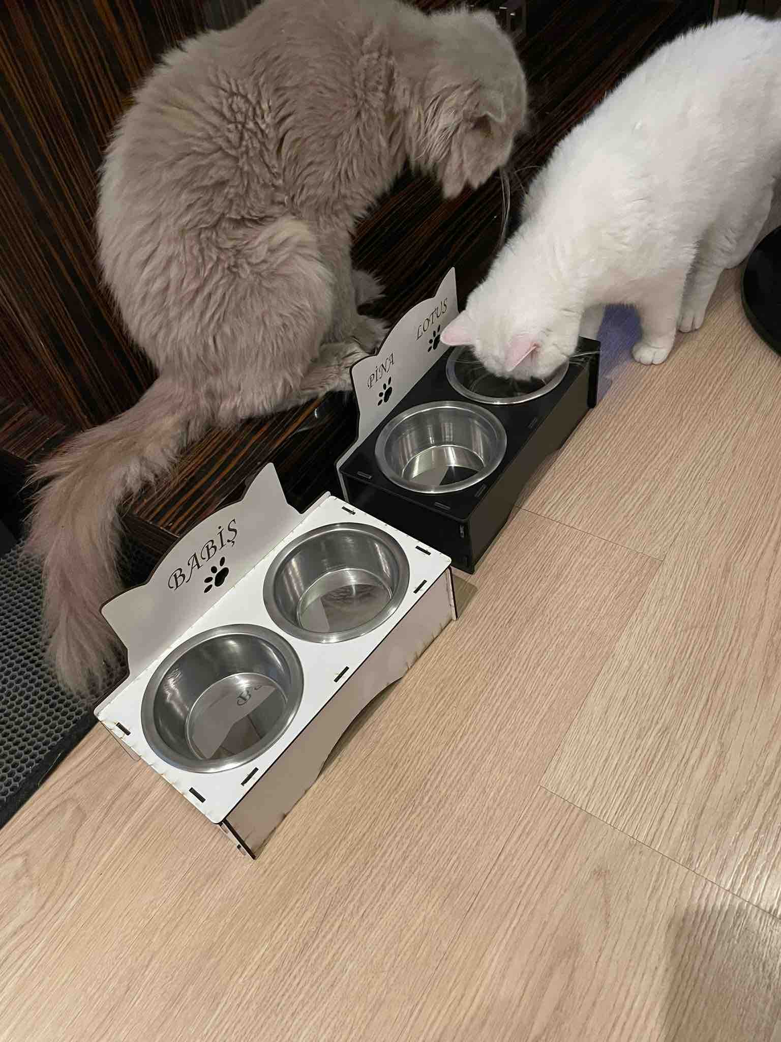 HomeJamin Ahşap Kedi Köpek Mama ve Su Kabı Standı Isme Özel Baskılı Çelik Mama Kabı